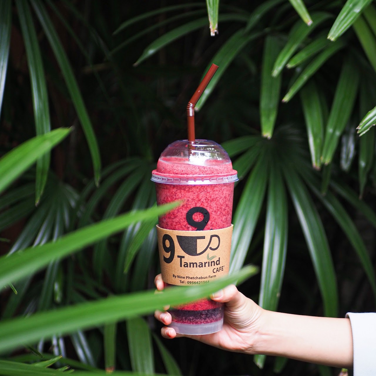 Tamarind Berry Smoothie 9 Tamarind Cafe