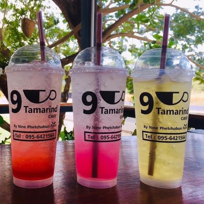 อิตาเลียนโซดาผลไม้ 9 Tamarind