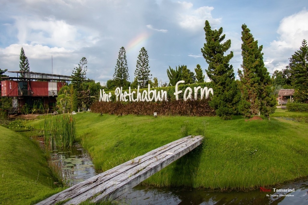 Nine Phetchabun Farm Landscape