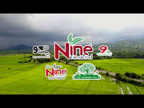 Nine Tamarind VDO